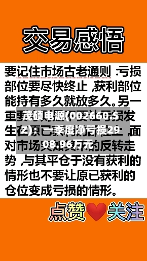 茂硕电源(002660.SZ)：一季度净亏损2908.96万元