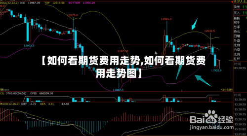 【如何看期货费用走势,如何看期货费用走势图】-第2张图片