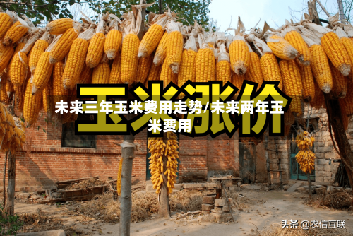 未来三年玉米费用走势/未来两年玉米费用-第2张图片