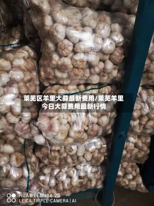 莱芜区羊里大蒜最新费用/莱芜羊里今日大蒜费用最新行情-第1张图片