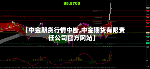 【中金期货行情中断,中金期货有限责任公司官方网站】-第2张图片