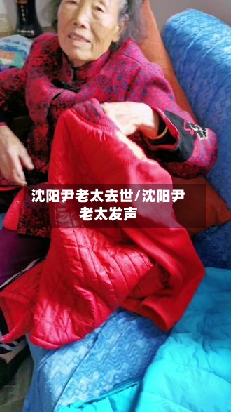 沈阳尹老太去世/沈阳尹老太发声-第2张图片