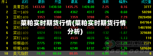 菜粕实时期货行情(菜粕实时期货行情分析)-第1张图片
