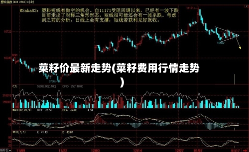 菜籽价最新走势(菜籽费用行情走势)-第2张图片