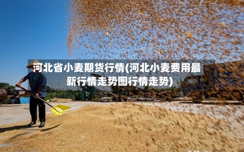河北省小麦期货行情(河北小麦费用最新行情走势图行情走势)-第3张图片