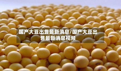 国产大豆出售最新消息/国产大豆出售最新消息视频-第3张图片