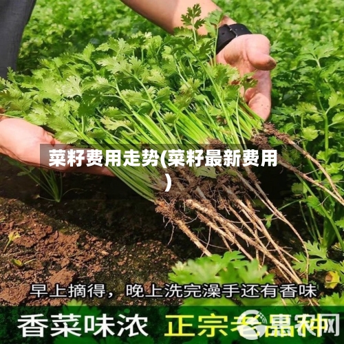 菜籽费用走势(菜籽最新费用)-第2张图片