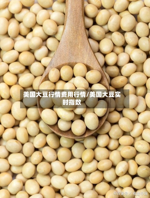 美国大豆行情费用行情/美国大豆实时指数-第1张图片