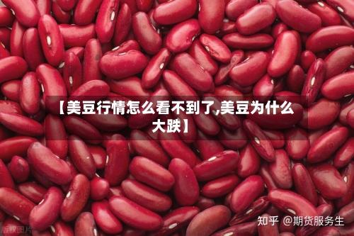 【美豆行情怎么看不到了,美豆为什么大跌】-第2张图片