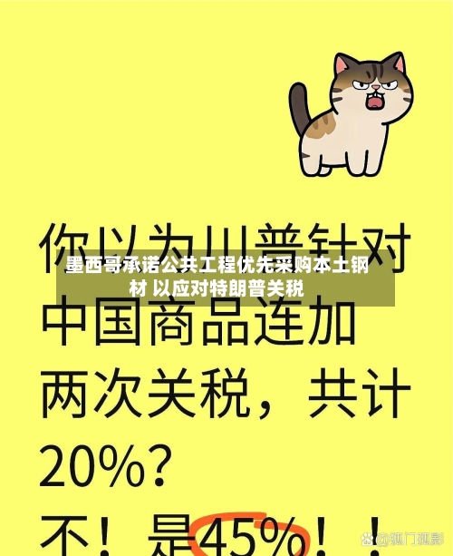 墨西哥承诺公共工程优先采购本土钢材 以应对特朗普关税-第2张图片