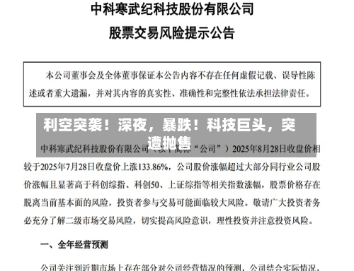 利空突袭！深夜	，暴跌！科技巨头，突遭抛售-第1张图片
