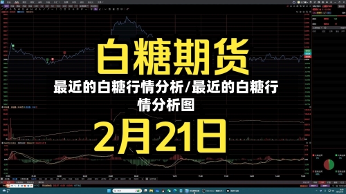 最近的白糖行情分析/最近的白糖行情分析图-第2张图片