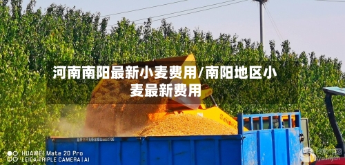 河南南阳最新小麦费用/南阳地区小麦最新费用-第1张图片