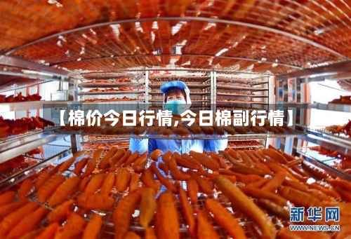 【棉价今日行情,今日棉副行情】-第3张图片
