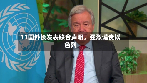 11国外长发表联合声明，强烈谴责以色列-第3张图片