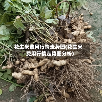 花生米费用行情走势图(花生米费用行情走势图分析)-第2张图片