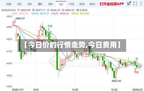 【今日价的行情走势,今日费用】-第3张图片