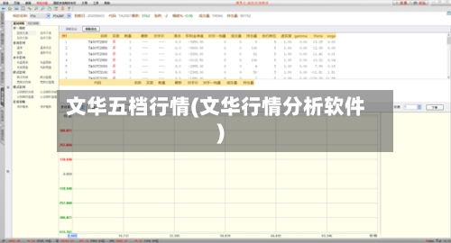 文华五档行情(文华行情分析软件)-第2张图片