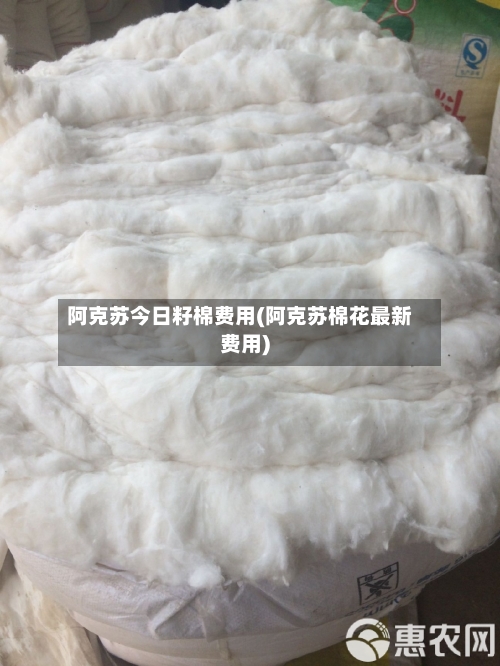 阿克苏今日籽棉费用(阿克苏棉花最新费用)-第1张图片
