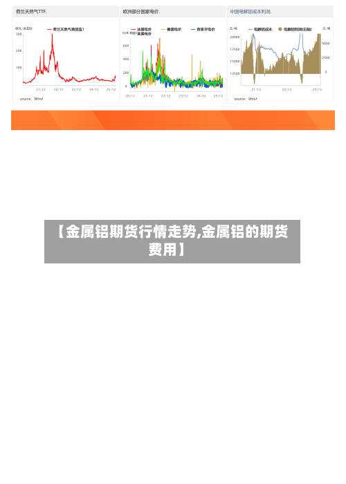 【金属铝期货行情走势,金属铝的期货费用】-第2张图片