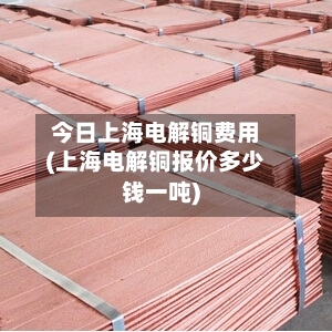 今日上海电解铜费用(上海电解铜报价多少钱一吨)-第2张图片