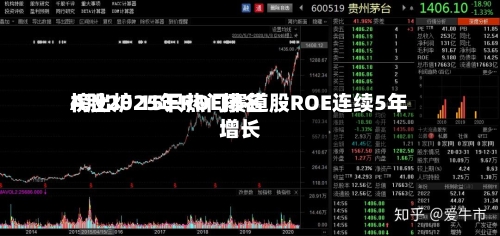 A股2025年ROE排名榜出炉 15只热门赛道股ROE连续5年增长-第2张图片
