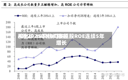 A股2025年ROE排名榜出炉 15只热门赛道股ROE连续5年增长-第3张图片