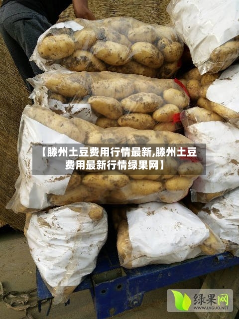 【滕州土豆费用行情最新,滕州土豆费用最新行情绿果网】-第2张图片