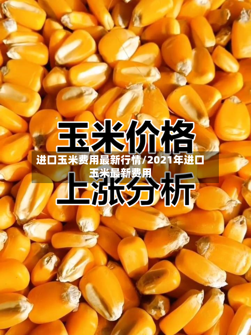 进口玉米费用最新行情/2021年进口玉米最新费用-第2张图片