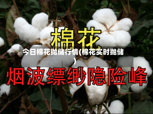 今日棉花抛储行情(棉花实时抛储)-第2张图片