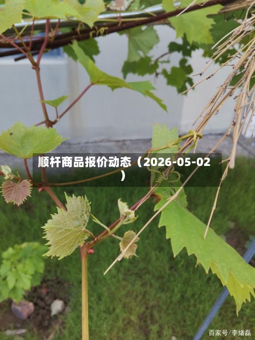 顺杆商品报价动态（2026-05-02）-第2张图片