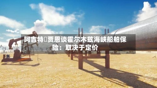 阿吉特・贾恩谈霍尔木兹海峡船舶保险：取决于定价-第2张图片